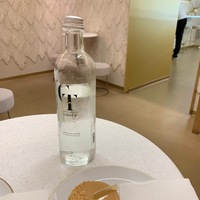 Вода GT 0.5 с/г