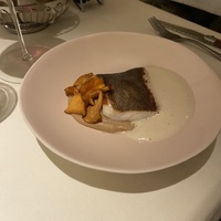 Палтус с лисичками и луковым кремом