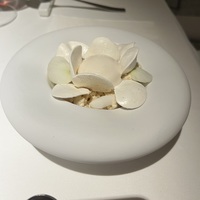 Белая Роза