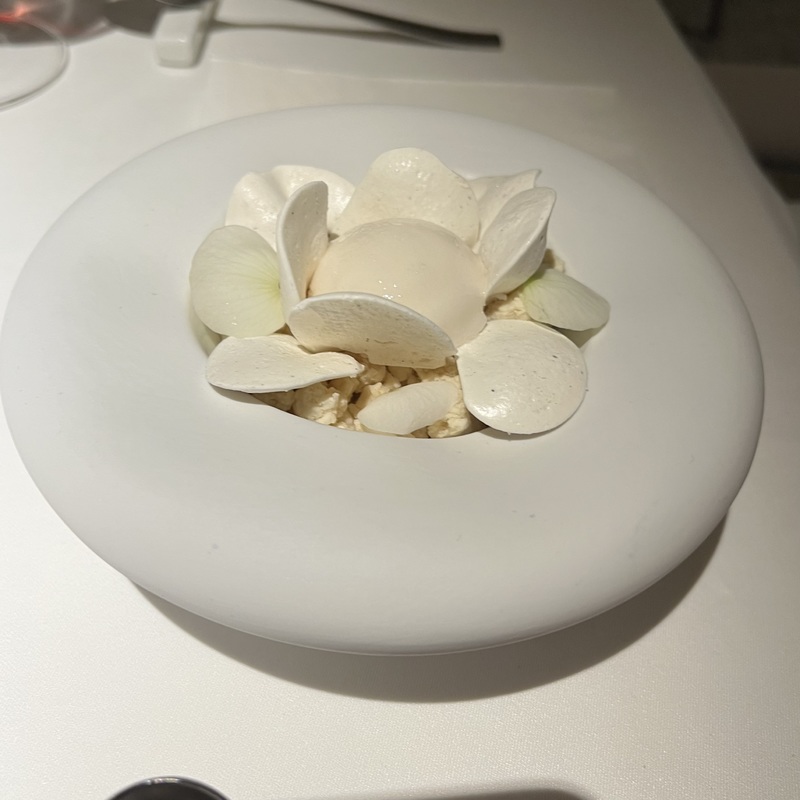 Белая Роза
