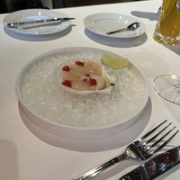 Морской гребешок 1 шт. Готовим севиче с малиновым дрессингом