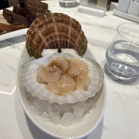 Живой гребешок с соусом шисо и луком шалот
