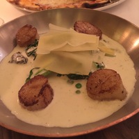 Морские гребешки