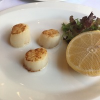 Гребешки