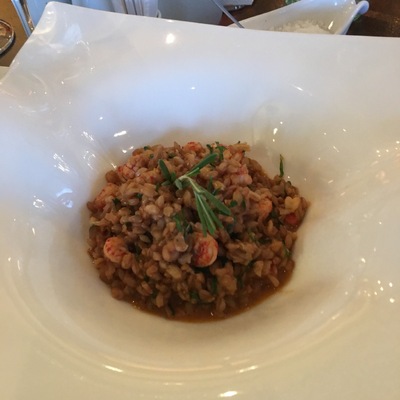 Полба с раковыми шейками