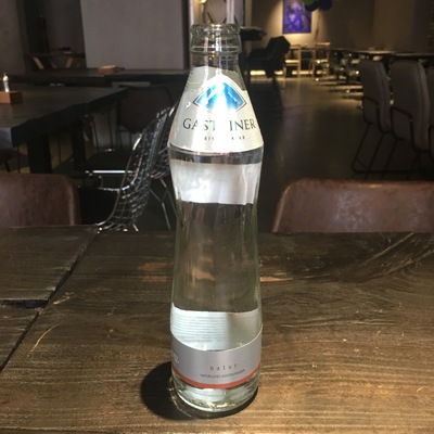 Вода Gastainer б/г 0.33