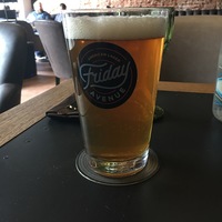 Пиво Friday Avenue 0.5