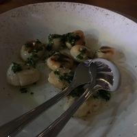 Морские гребешки в хоспере 200 гр.