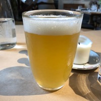 Пиво Steenbrugge Wit Blanche 0.33