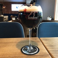 Пиво Bourgogne Des Flanders 0.5