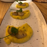 Морские гребешки с соусом Шампань и пюре с трюфелем